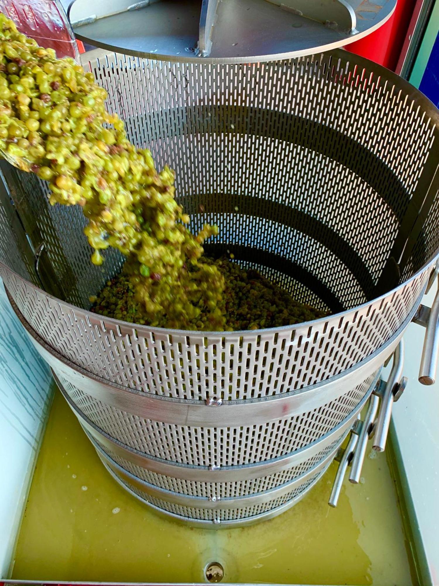 테메큘라 Domaine Chardonnay B&B 외부 사진