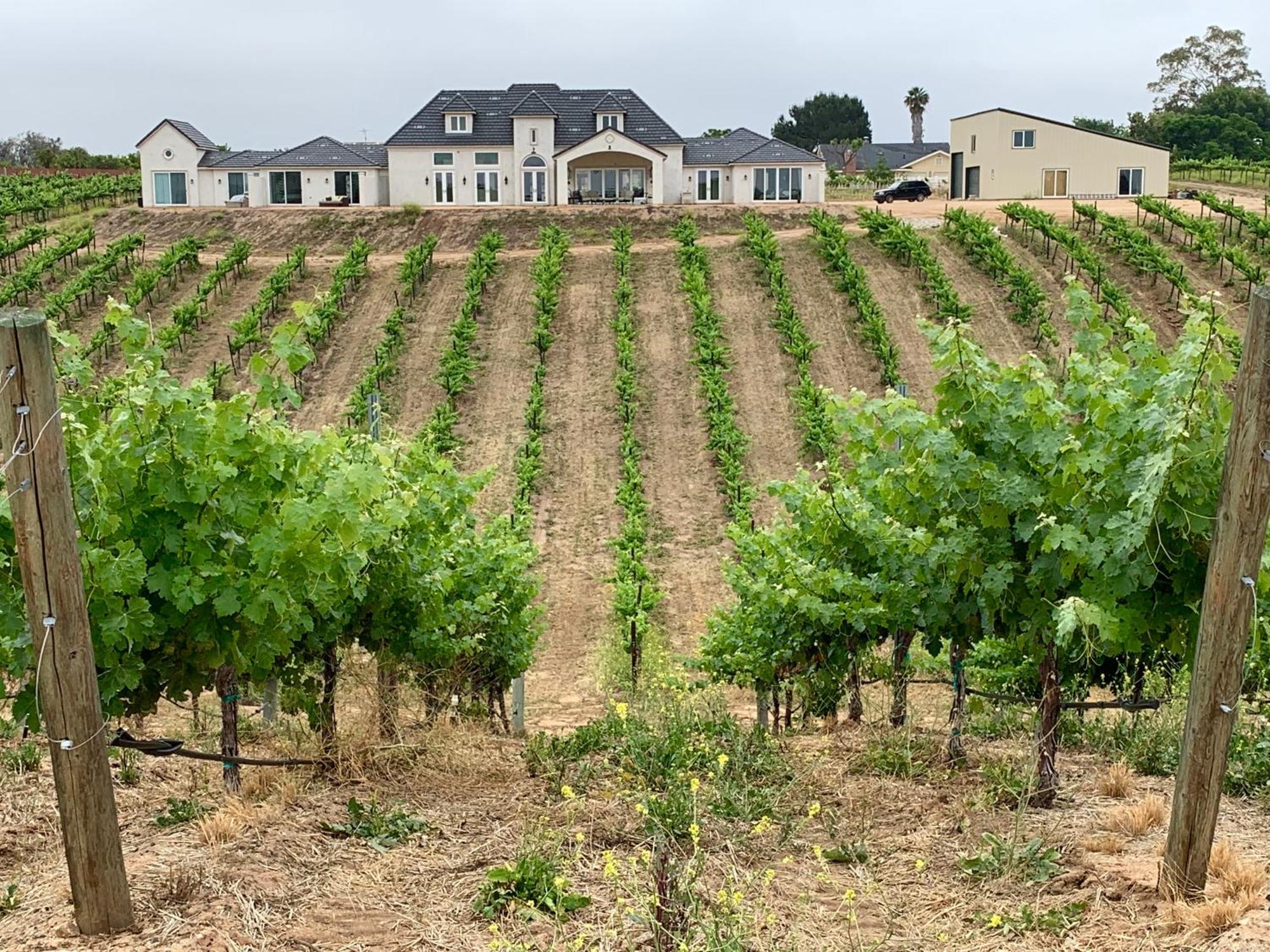 테메큘라 Domaine Chardonnay B&B 외부 사진