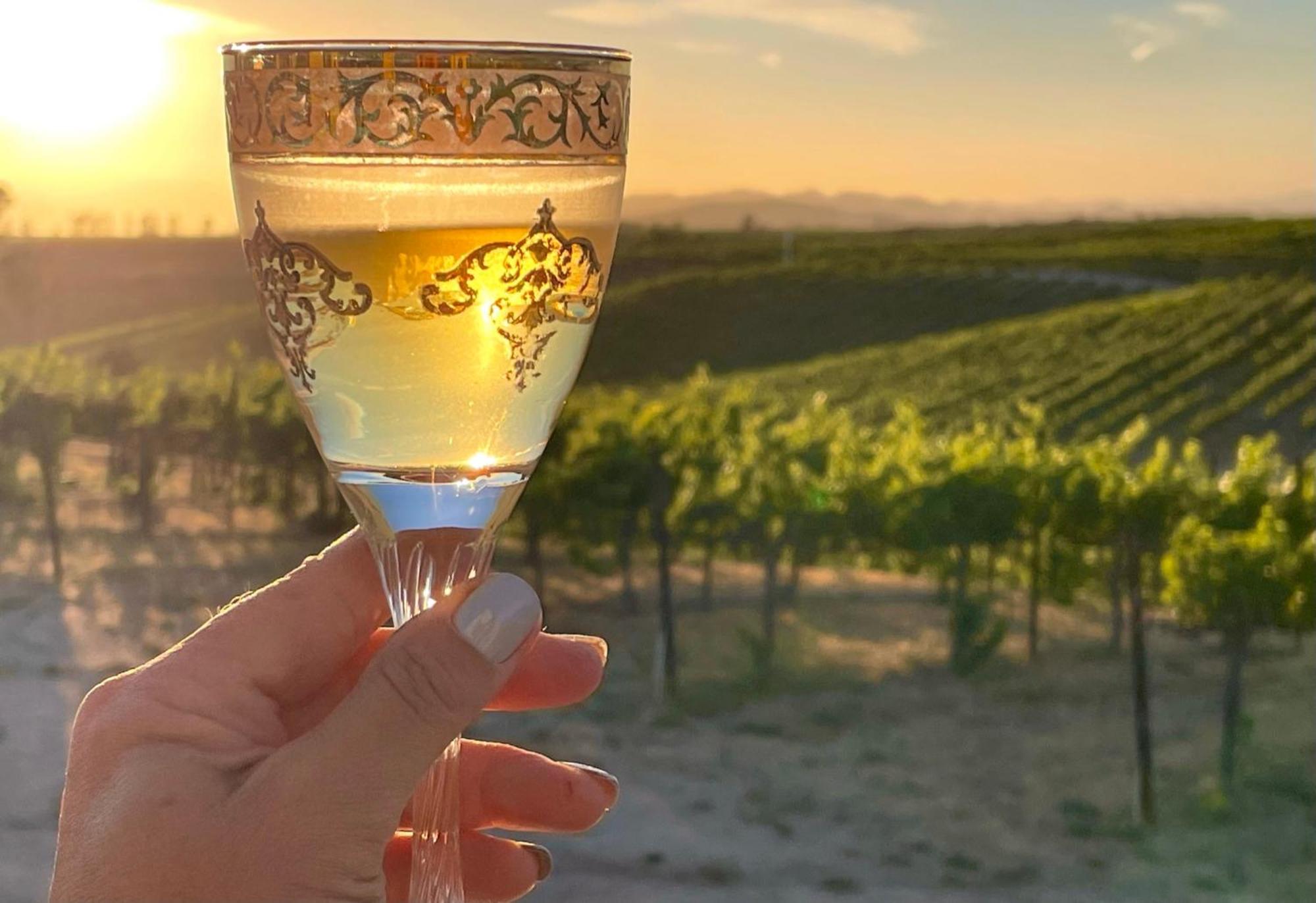 테메큘라 Domaine Chardonnay B&B 외부 사진